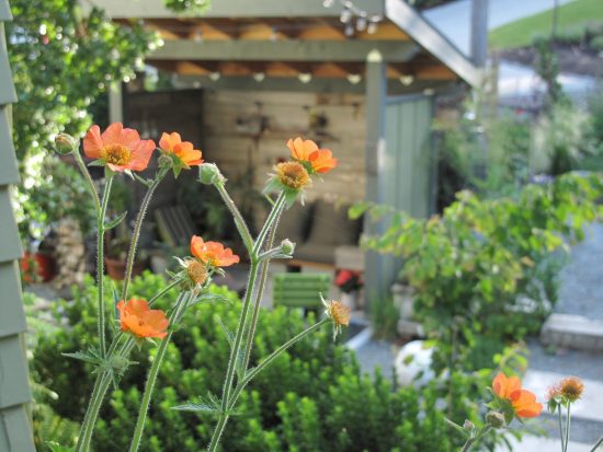 garden shelter