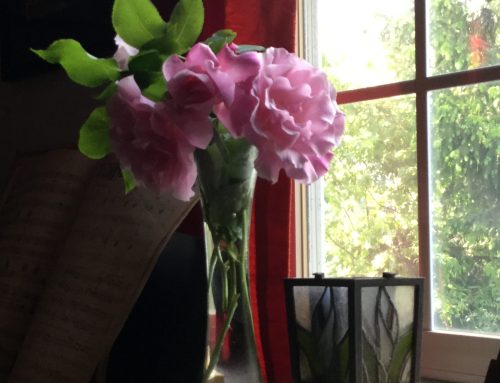 Ignore the gardening naysayers and follow your own path