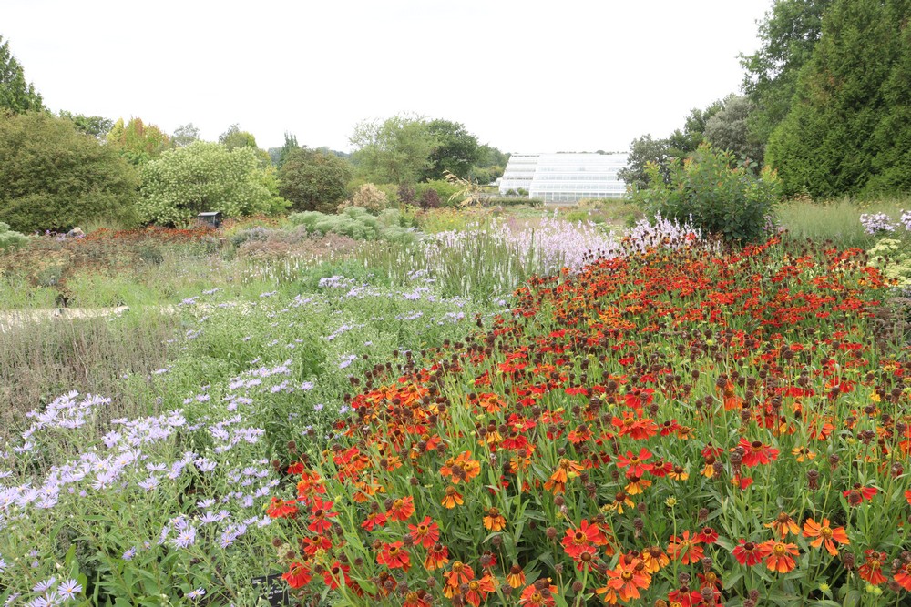 Piet Oudolf garden Wisley