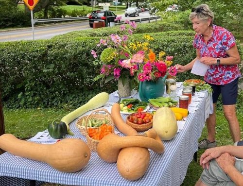 Labor Day Festival shows an old-fashioned love of plants